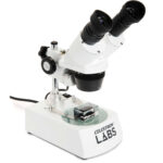 Microscopio estéreo CELESTRON LABS S10-60 - Imagen 2