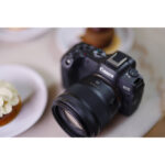 Canon 45mm f/1.2 STM Lens (Canon RF) - Imagen 10