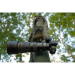 Lente Nikon NIKKOR Z 600 mm f/6.3 VR S (Nikon Z) - Imagen 10