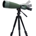 Telescopio terrestre Celestron Regal M2 100ED con ocular 22-67x (visión en ángulo) - Imagen 10
