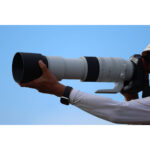 Lente Canon RF 200-800 mm f/6.3-9 IS USM (Canon RF) - Imagen 14