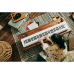 Casio Privia PX-S1100 Piano digital de 88 teclas con parlantes incorporados (blanco) - Imagen 8