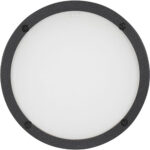 American DJ 100° Frost Filter for LB7IP - Imagen 2