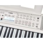 Yamaha EZ-310 Deluxe Bundle - Imagen 10