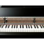 Yamaha N-3X Avant Grand - Imagen 10
