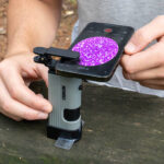 Microscopio de bolsillo LED Carson MicroPic con adaptador para smartphone - Imagen 10