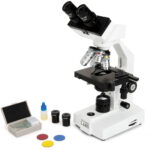 Microscopio binocular compuesto CELESTRON LABS CB2000CF con platina mecánica de 4,3 x 4,7" - Imagen 8