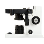 Microscopio binocular compuesto Celestron CB1000CF 40-1000x - Imagen 8