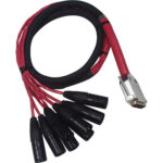 Avid DB25-XLRM DigiSnake - Serpiente de salida analógica o digital (4 pies)