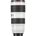 Canon EF 70-200mm f/2.8L IS III USM Lens - Imagen 10