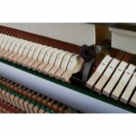 Yamaha b2 PE - Imagen 7