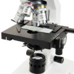 Microscopio monocular compuesto CELESTRON LABS CM2000CF - Imagen 6
