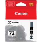 Canon LUCIA PGI-72 Gray Ink Tank - Imagen 2