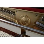Yamaha b2 PE - Imagen 6