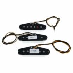 Fender Custom Texas Special Strat Set - Imagen 5