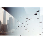 Película negativa de color Kodak Professional Portra 400 (120 rollos de película, paquete de 5) - Imagen 4