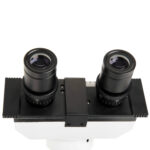 Microscopio binocular compuesto CELESTRON LABS CB2000CF con platina mecánica de 4,3 x 4,7" - Imagen 6