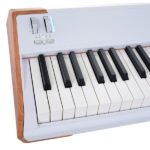 Arturia AstroLab 88 - Imagen 10