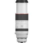 Objetivo Canon RF 100-500 mm f/4,5-7,1 L IS USM - Imagen 2