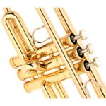 Yamaha YTR-5335 GII Trumpet Set - Imagen 4