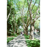 Cámara de película de medio fotograma Kodak Ektar H35N (naranja esmaltada) - Imagen 9
