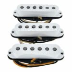 Fender Custom Texas Special Strat Set - Imagen 2