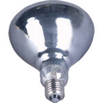 American DJ LL-PAR38 Lamp (150W/120V) - Imagen 3