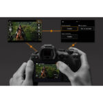 Canon EOS R6 Mark II Mirrorless Camera with Stop Motion Animation Firmware - Imagen 14