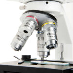 Microscopio binocular compuesto CELESTRON LABS CB2000CF con platina mecánica de 4,3 x 4,7" - Imagen 7