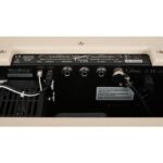 Gibson Falcon 5 1x10 Combo - Imagen 11