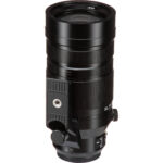 Panasonic Leica DG Vario-Elmar 100-400mm f/4-6.3 II ASPH. ENERGÍA O.I.S. Lente - Imagen 12