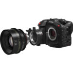 Canon EOS C80 6K Full-Frame Cinema Camera (Canon RF) - Imagen 12