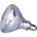 American DJ LL-PAR38 Lamp (150W/120V)
