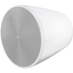 Bose Professional DesignMax DM10P-Sub 300W 10" subwoofer pasivo (blanco)