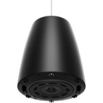 Bose Professional DesignMax DM6PE Altavoces coaxiales pasivos de 2 vías para montaje en superficie (negro, par) - Imagen 5