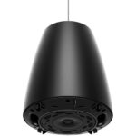 Bose Professional DesignMax DM3P Altavoz colgante (negro, par) - Imagen 4