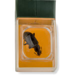 Lupa Carson HU-10 5x BugView - Imagen 6