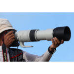 Lente Canon RF 200-800 mm f/6.3-9 IS USM (Canon RF) - Imagen 15