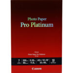 Canon Pro Platinum Photo Paper (13 x 19", 10 Sheets)