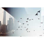 Kodak Portra 400 con kit de bolsa protectora de película Domke (película en rollo de 35 mm, 36 exposiciones, paquete de 5) - Imagen 9