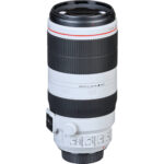 Canon EF 100-400mm f/4.5-5.6L IS II USM Lens - Imagen 14
