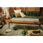 Casio Privia PX-S1100 Piano digital de 88 teclas con parlantes incorporados (blanco) - Imagen 9