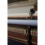 Yamaha b2 PE - Imagen 9
