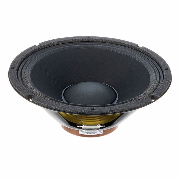 c744d1dbd2ce00e2780c92341f4bc456.jpg Celestion NEO 250 Copperback 8 Ohm - Imagen 1