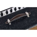 Fender Blues Junior 30th Anniversary - Imagen 10