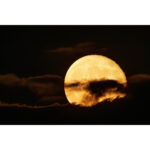 Lente Canon RF 200-800 mm f/6.3-9 IS USM (Canon RF) - Imagen 13