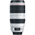 Canon EF 100-400mm f/4.5-5.6L IS II USM Lens - Imagen 3