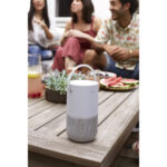 Altavoz doméstico portátil Bose (plata de lujo) - Imagen 6