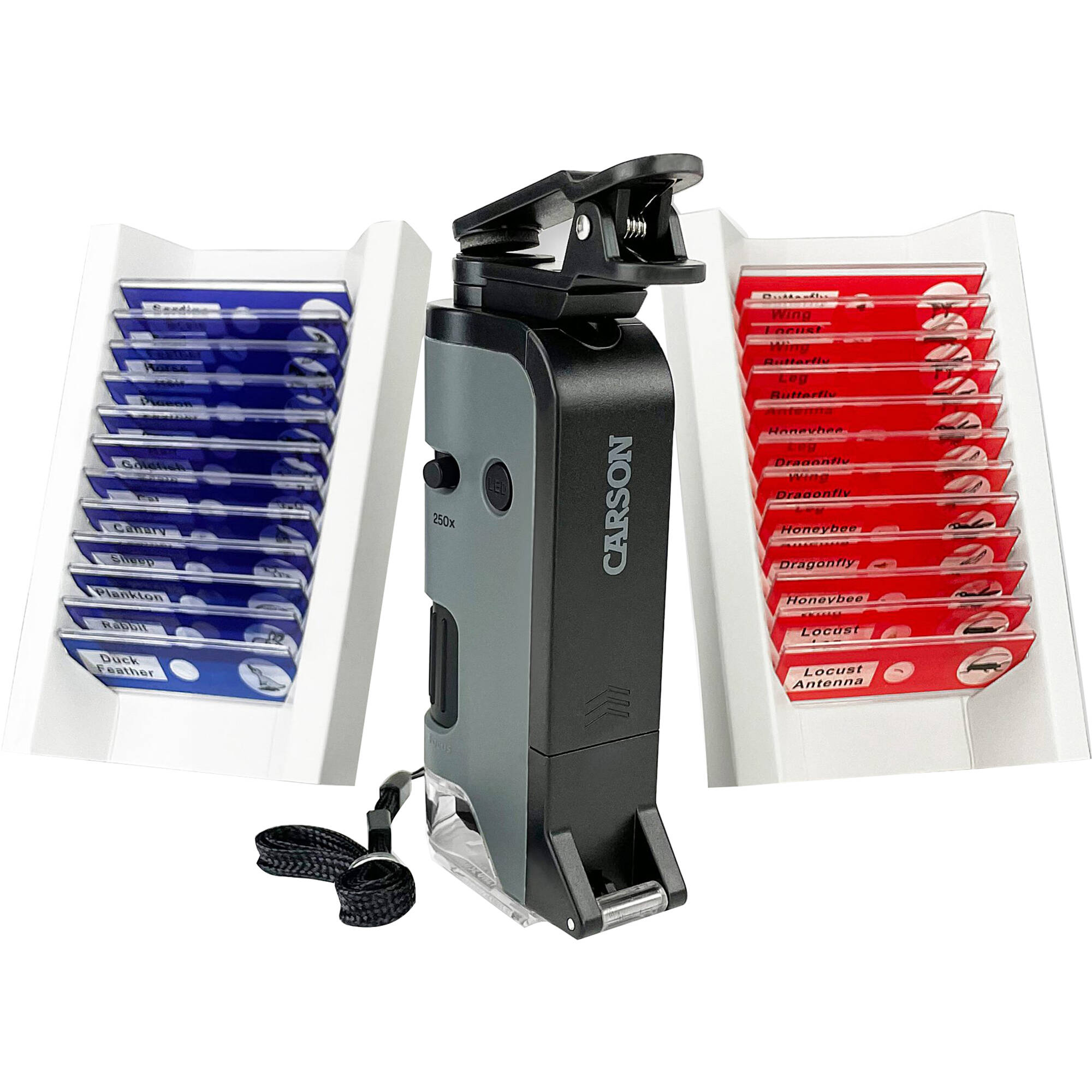 cd5b09e1b6b007077cf8c408996caaa5.jpg Microscopio de bolsillo Carson MicroFlip MP-250 100-250x con kit de 24 portaobjetos - Imagen 1
