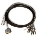 Avid DB25-TS +4 dBu/-10 dBV DigiSnake acolchado - Serpiente de salida (12 pies)